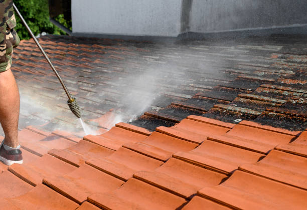 Best Best Pressure Washing Companies  in Festus, MO
