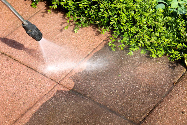 Best Power Washing Near Me  in Festus, MO